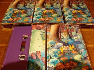 younggirlsrecordsqnicolai