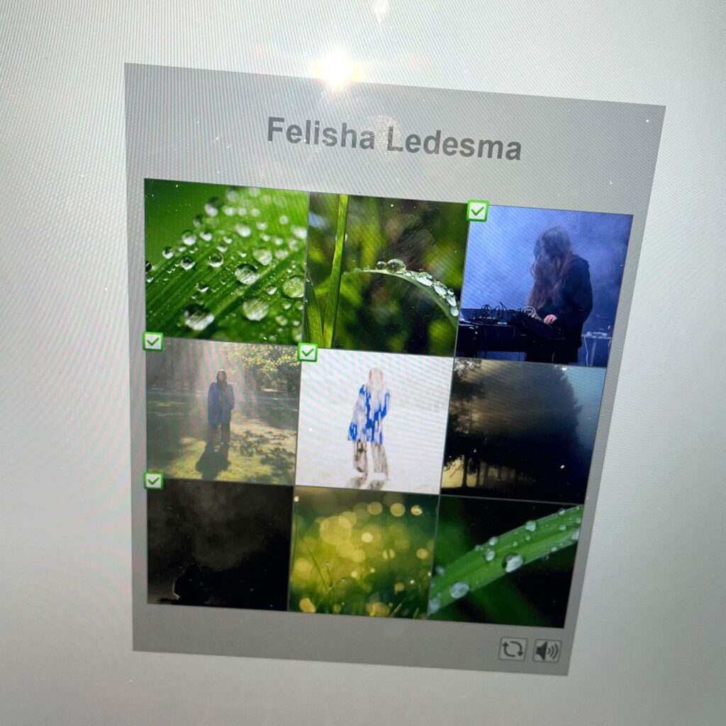 FelishaLedesma - web