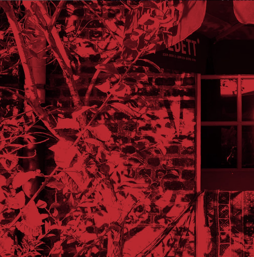 Laminaat Vinyls Schiev Festival Laminaat Vinyls Schiev Festival